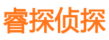 尼勒克侦探公司